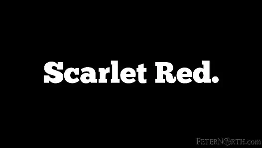 Film fragmanı: kuzey kutbundan kırmızı kırmızı #112