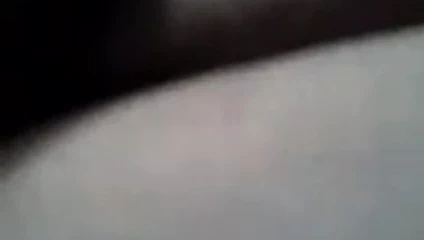 şişman beyaz domuz