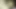 Step Father's Day. Stepdad fucks his stepdaughter,  and ends up cumming inside her when her cuckold mother is not at home