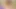 Smalltit ladyboy assfucking köpek stili