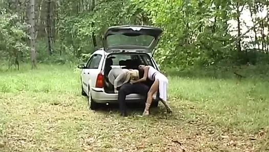 Ormanda üçlü seks: 2 sürtük için büyük bir yarak