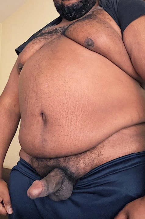 Ateşli solo siyah ayı aksiyon