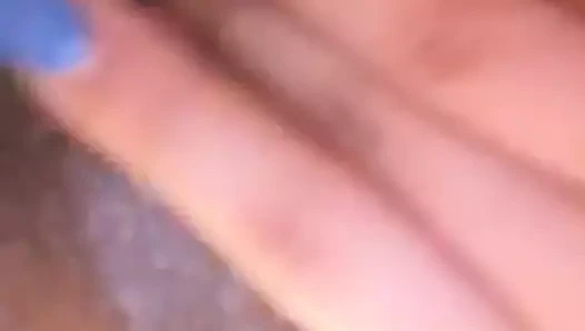 Latin sürtme güzel küçük kedi