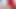 İskoç Rose Skies First Bg