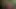 Lust auf unbandigen Schwanz Vol.4