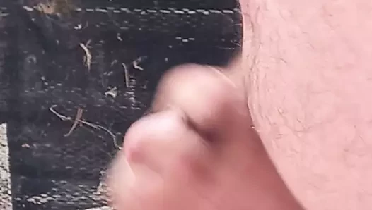 Hypocock cum