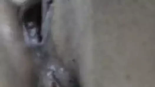 cuzinho da coroa piscando 3