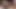 Arkadaşımın eşiyle ırklararası FMM swinger üçlü, siyah tenli büyük poposlu MILF - Brian Evansx