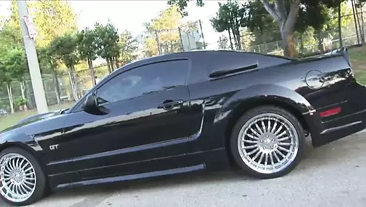 Abanoz skinned bbw isabella sikikleri siyah horoz