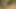 Lezbiyenler orta yaşlı seksi kadın antrenmandan sonra mastürbasyon yapıyor