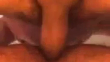BAREsex mit Besamung