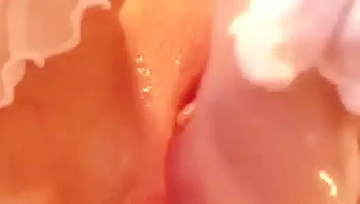 Kel Asya kedi doldurma her ikisi de delikler