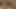 sevimli Asya kız arkadaş veren güzel oral seks