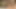 Asyalı bir kadın anal seksten sonra bir adamın penisinde oral seks yapıyor, gırtlağına kadar alıyor