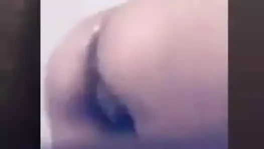 Eski yakın yukarı kedi