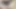 Porno yıldızı yarak alıyor