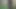 Peat Bog 1.mp4