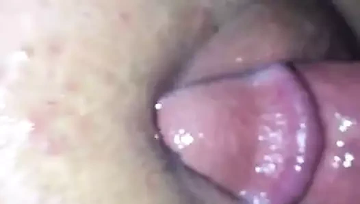 lanet benim kızlar ıslak KEDİ