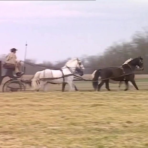 Рыжая девушка лижет киску, трахает киску, трахает киску, трахает пальцами в замке