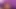 Anita B. ve arkadaşlarının en iyileri