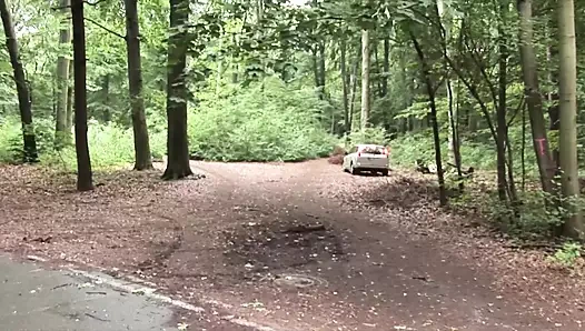 Notgeiler Bauer bumst notgeile Sau auf dem Feld