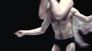 Majon van der schot onu kedi tarafından dengelenir