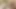 Üçlü japon yui ve konomi size arzulu oyuncaklar bırakan ateşli dölleme eylemi sunuyor