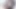 Javhub Japon model fotoğrafçının sikini emiyor