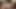 Javhub kotori shirayuki azdırılıyor ve sonra iki adamı emiyor