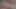 Yine üvey kız kardeş evde yalnızken üvey erkek kardeşiyle oynuyor