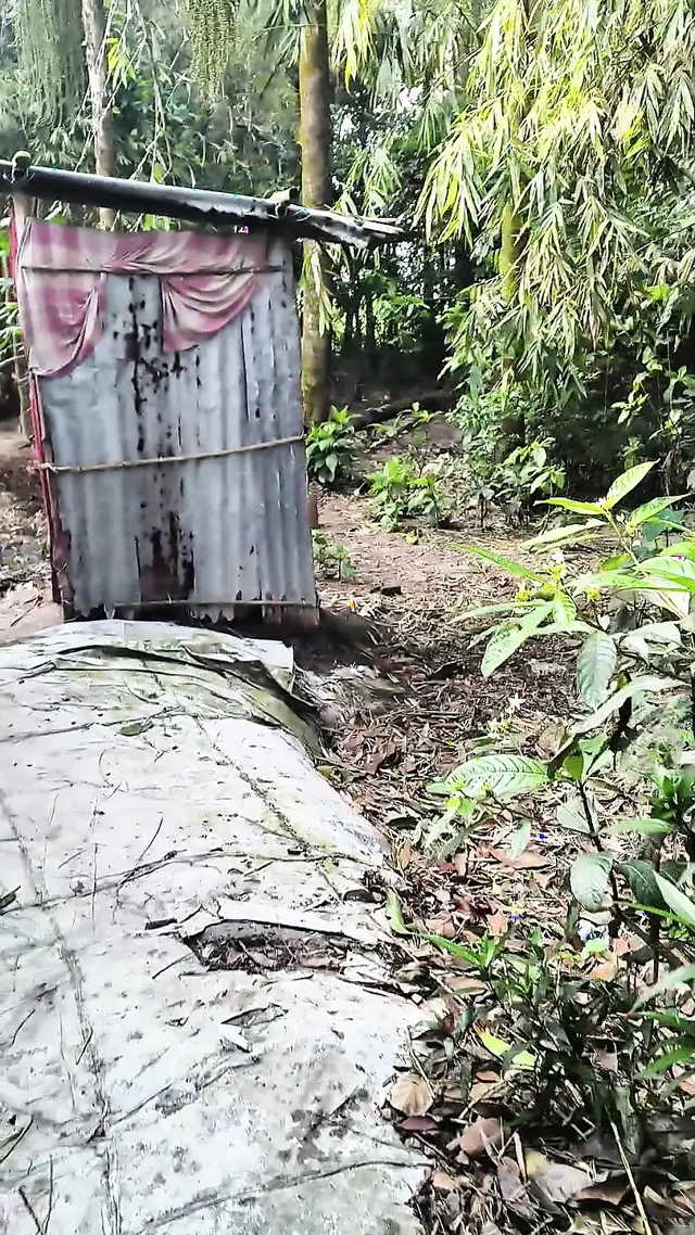 Bahçemin sessiz güzelliği