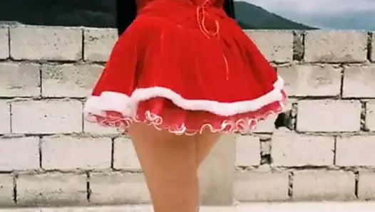 Pq65