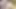 Seksi esmer ıslak amına dildo sokuyor