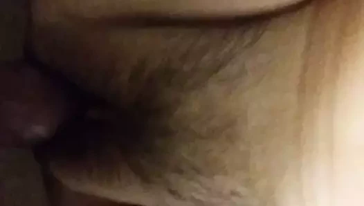 ayı alay sıkı KEDİ ile küçük kalın horoz