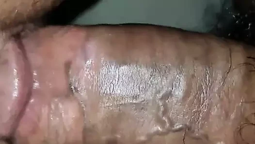 Titreşimli ona kedi ve becerdin tarafından ona ortağı