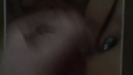 Meistermir'e övgü1