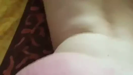 Fransız amatör levrette