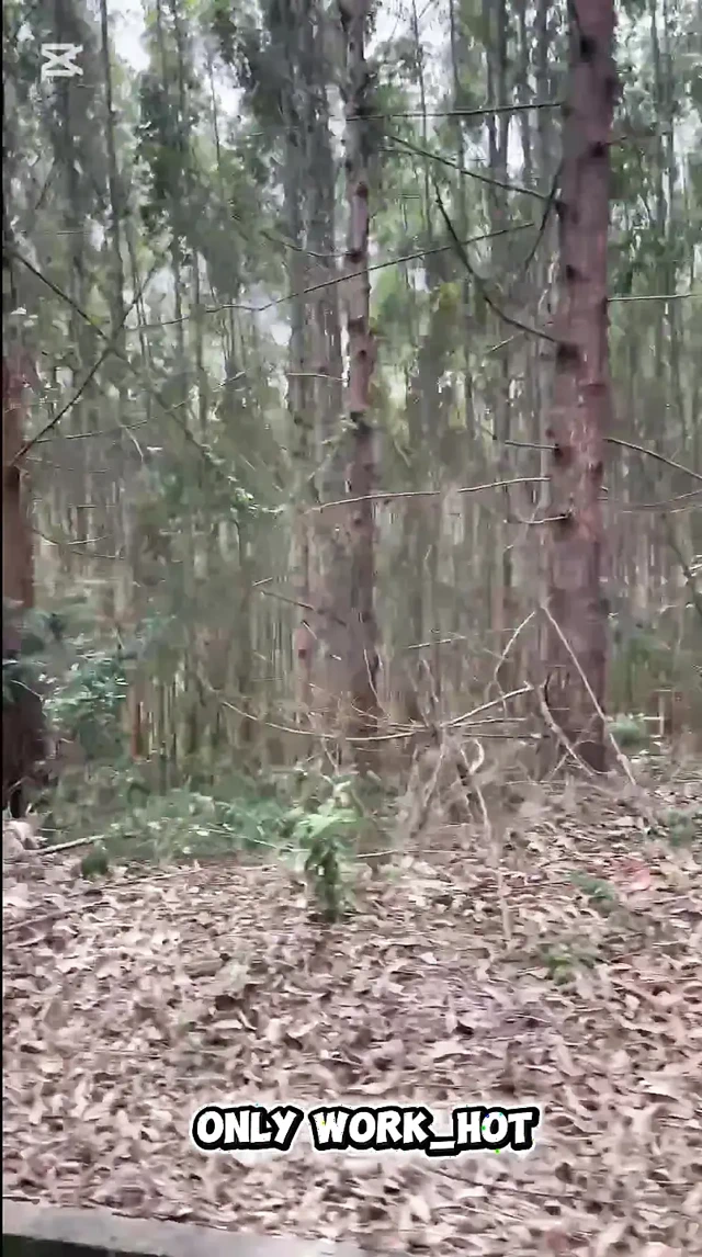 "Komşumla dışarı çıktım... ve beklenmedik oldu"