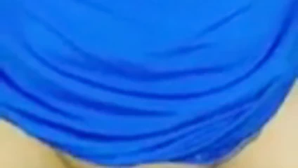 Kahrolası büyük kel tıraş kedi