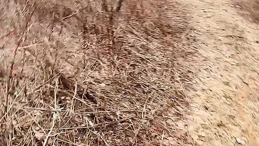 Ormanda Çok Havalı Işiyor
