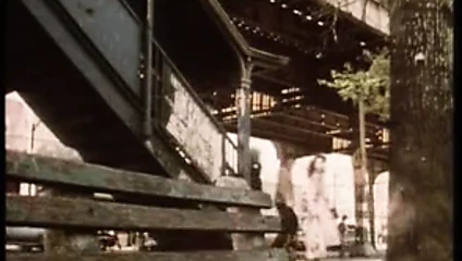 Viva Vanessa del Rio