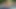 Engelsiz Brandon Wilde açık havada mastürbasyon yapıyor ve yarağını pompalıyor
