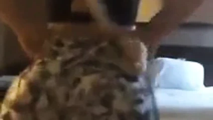 Dar pantolonlu büyük göt