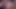 Nicky tease-on yatak