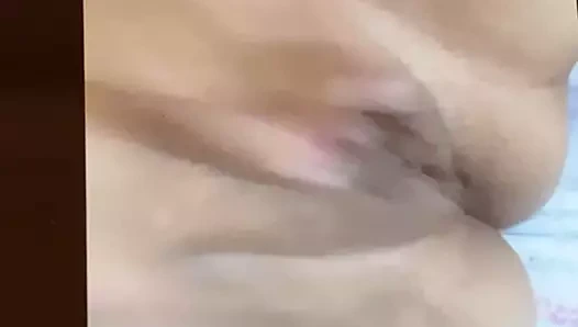 Amiga haberci yapmak