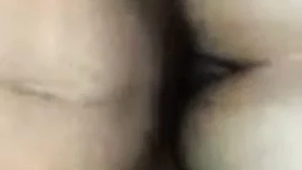 Bear cub kahrolası raw