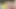 Yamanaka eğitmeni 3d hentai - frenulum yalama, özensiz sakso, sansürsüz animasyonda gırtlağına kadar boşalma