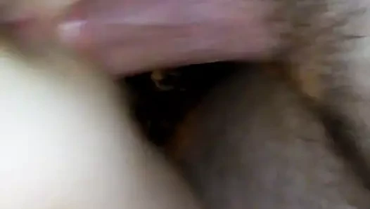 Sıcak köpek tombul horoz