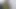 Evli kadın kocasıyla mutfakta seks yapıyor