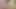 meme dansı